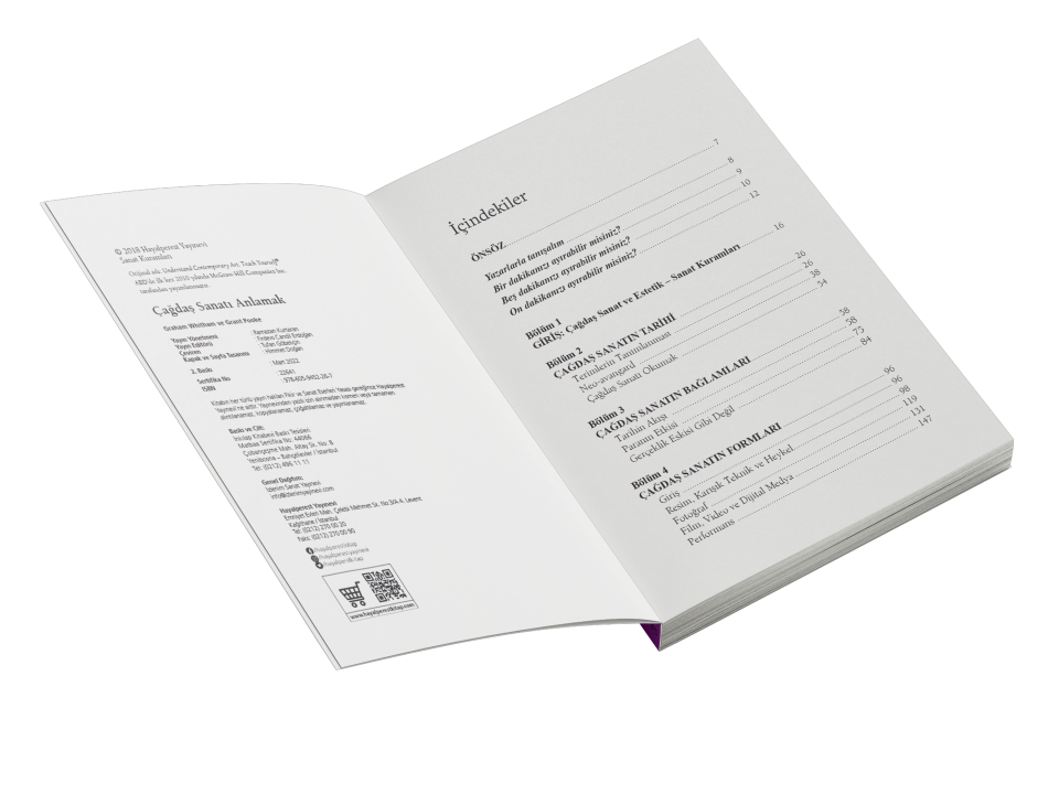 Çağdaş Sanatı Anlamak