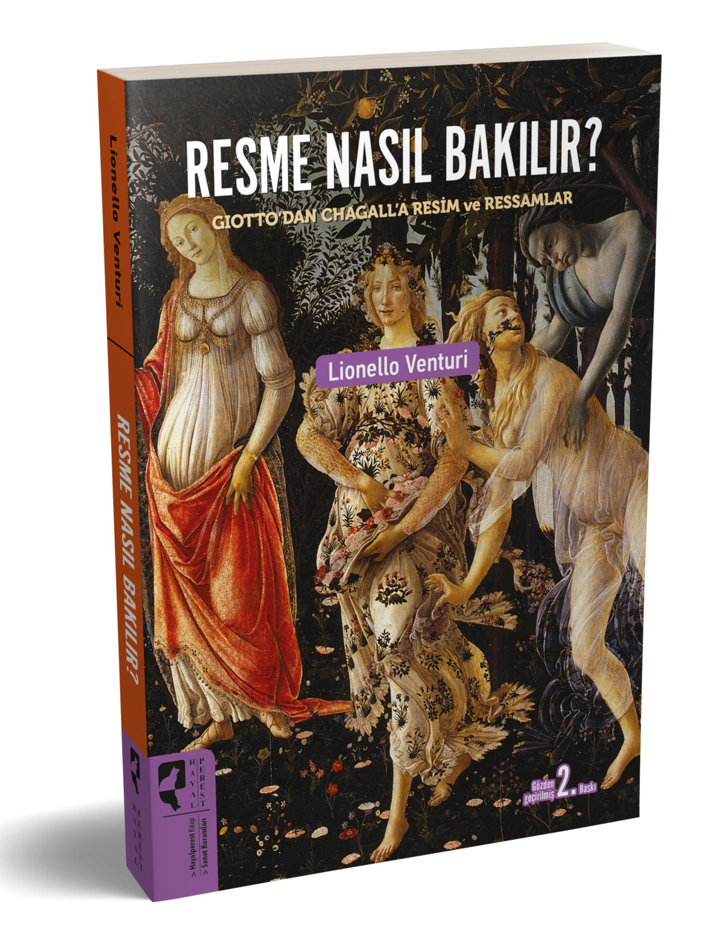 Resme Nasıl Bakılır