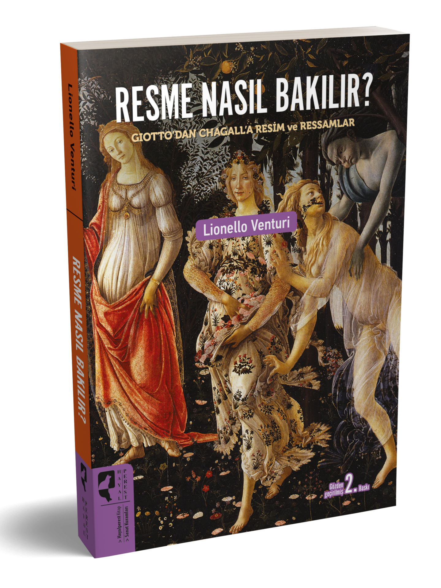 Resme Nasıl Bakılır
