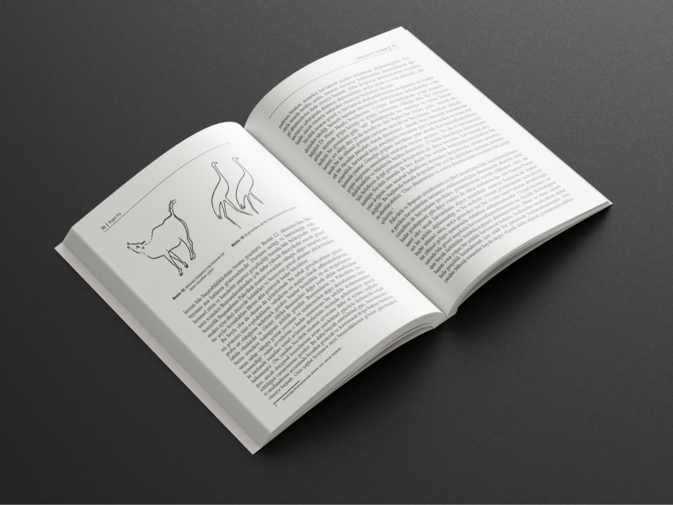 İmgelem ve Tasarım Sanat ve Estetik Üzerine Yazılar