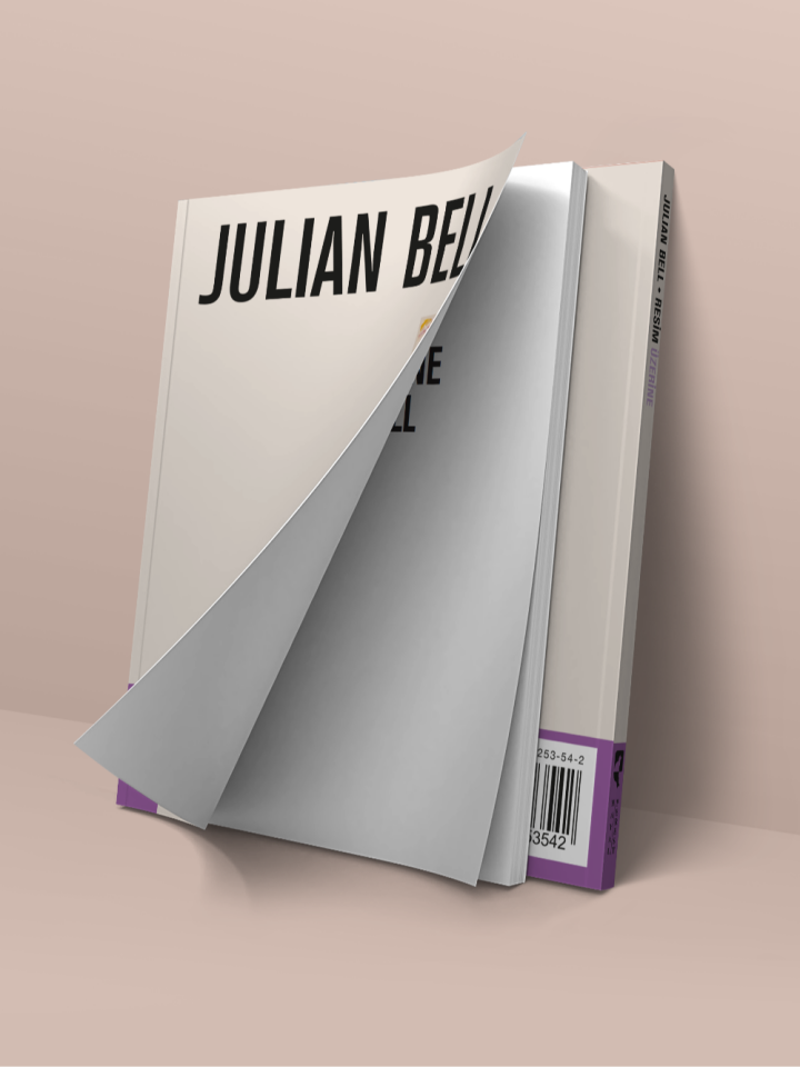 Resim Üzerine -Julian Bell